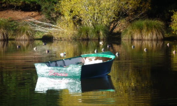 boat.JPG